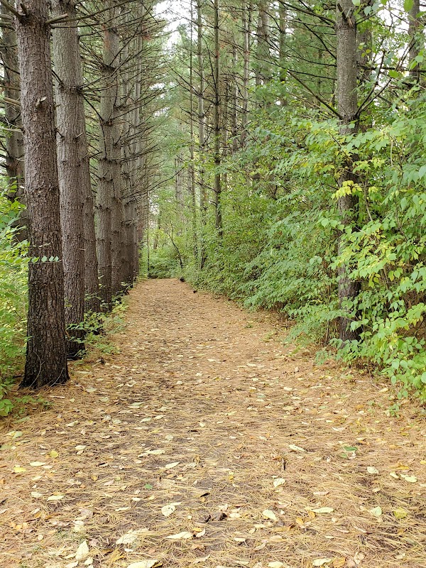 Timberhill MetroPark