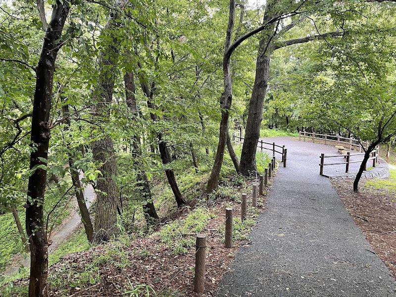 Mitsumeyama Park