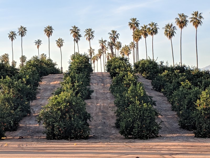 California Citrus State Historic Park