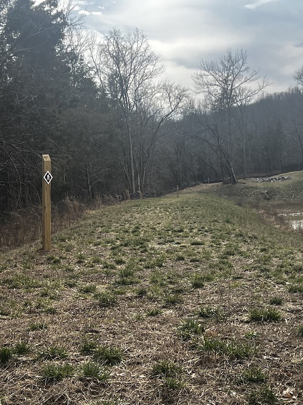 Witherspoon Woods Trail Summit