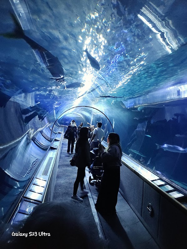 Aquarium of the Bay