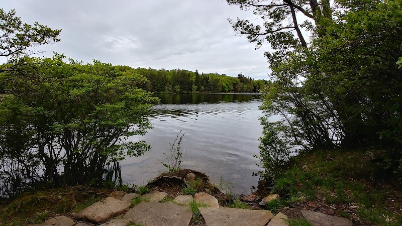 Promised Land State Park Conservation Island