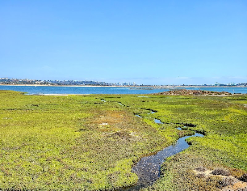 Kendall-Frost Mission Bay Marsh Reserve
