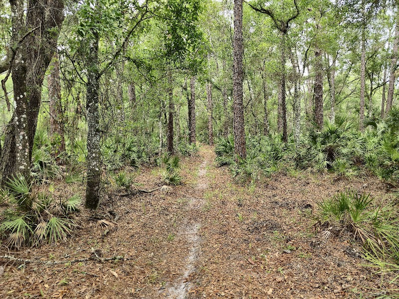 Flatwoods Park