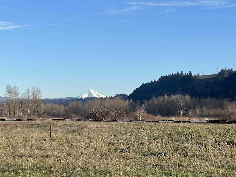 Sandy River Delta