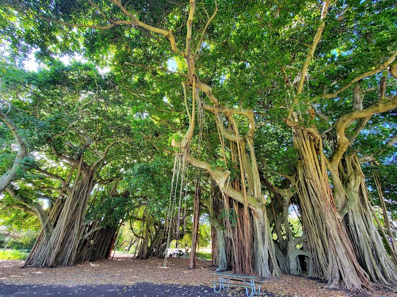 Merrie Christmas Park