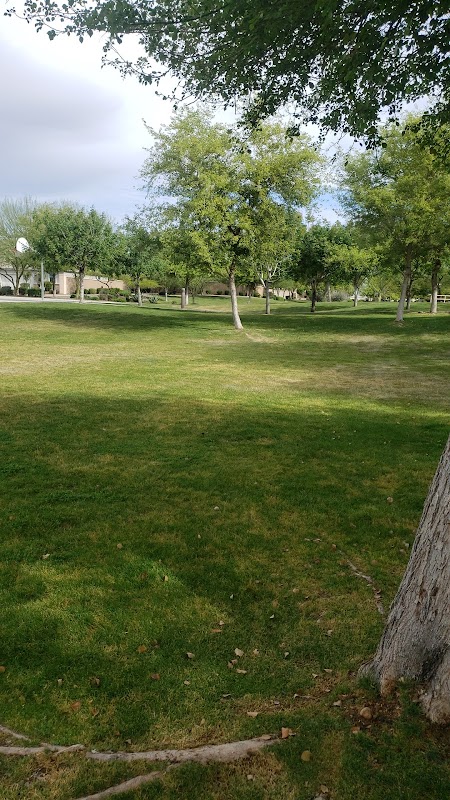 Three Olive Park HOA Park
