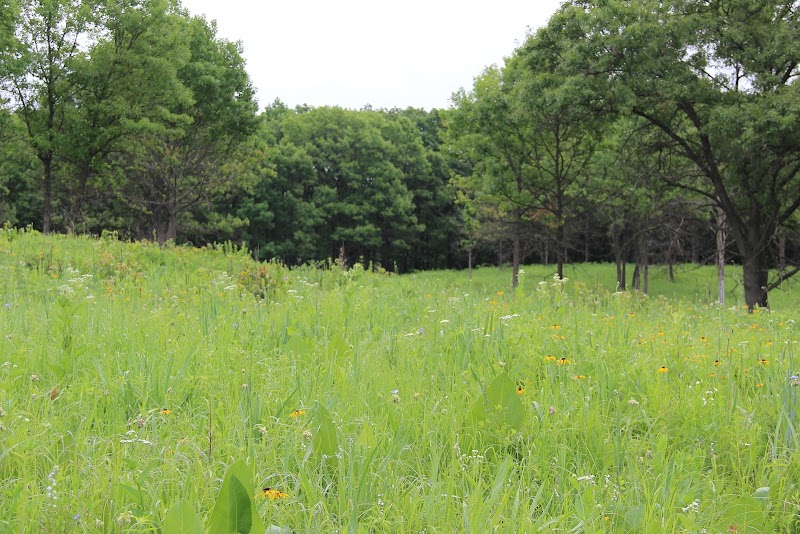 Cap Sauers Holding Nature Preserve