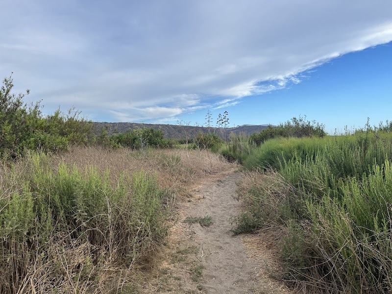 Tijuana River Valley Regional Park Bird & Butterfly Garden