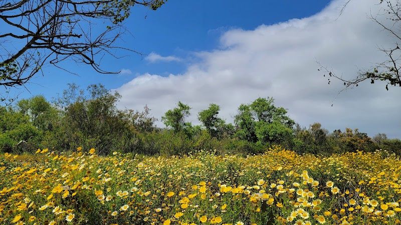 Tijuana River Valley Regional Park Bird & Butterfly Garden
