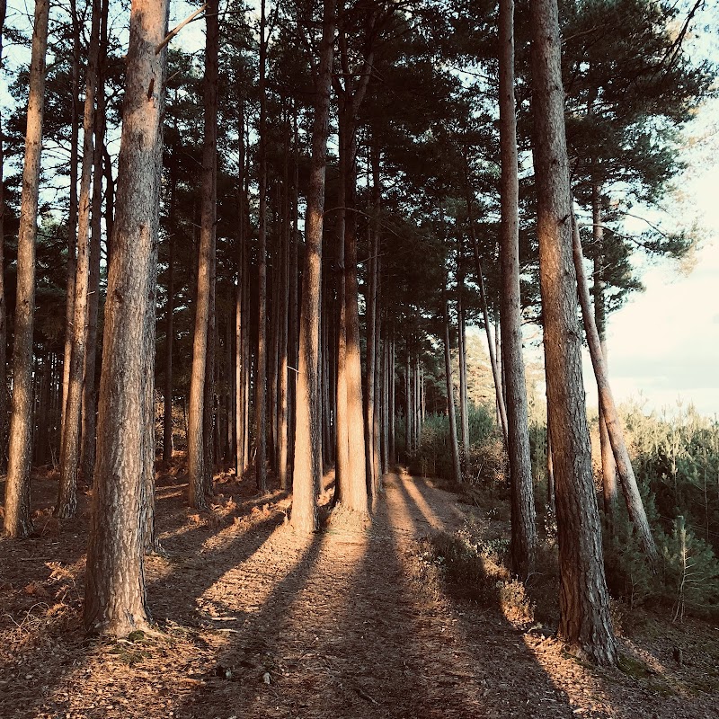 Parking layby for RSPB Farnham Heath
