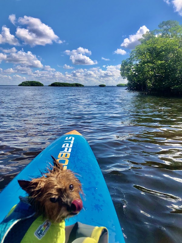 IBIS ISLAND