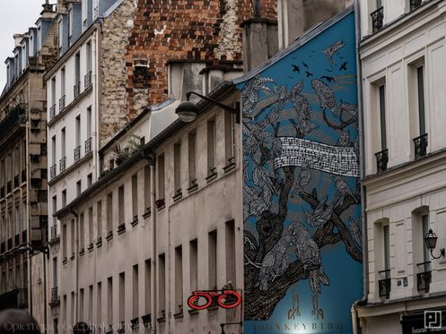 Fresque murale MONKEYBIRD