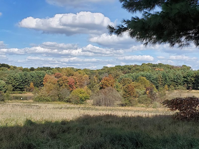 Green Farm Conservation Park