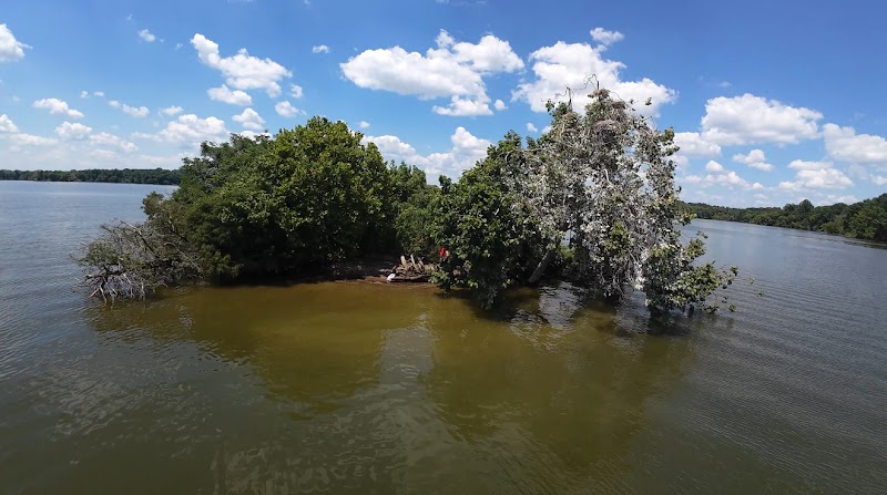 Daniel Lee Island