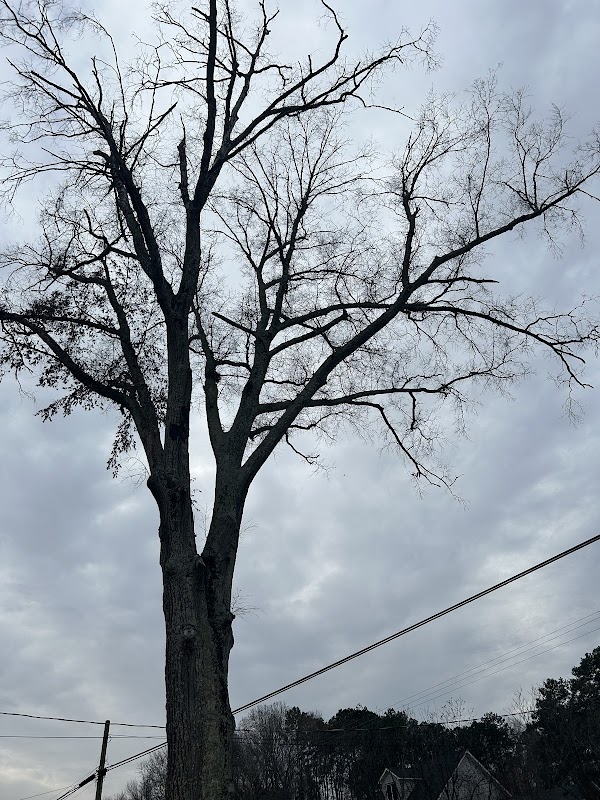 Byklawn&treecareservice