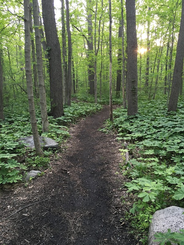 Virginia B. Matley Nature Trail