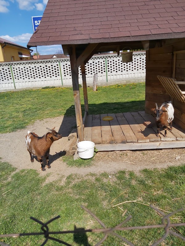 Domek dla kóz