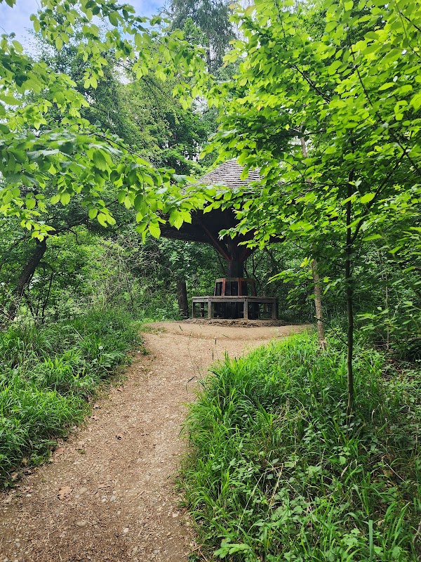 Sitzpilz am Menzinger Tor