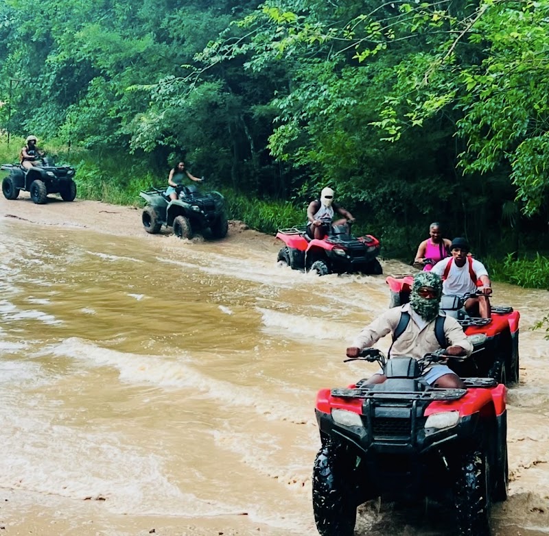 Texas ATV Rentals (Houston)