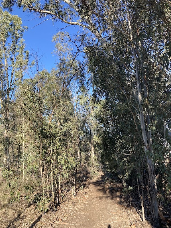 Lower Otay Reservoir Bike Trail Trailhead