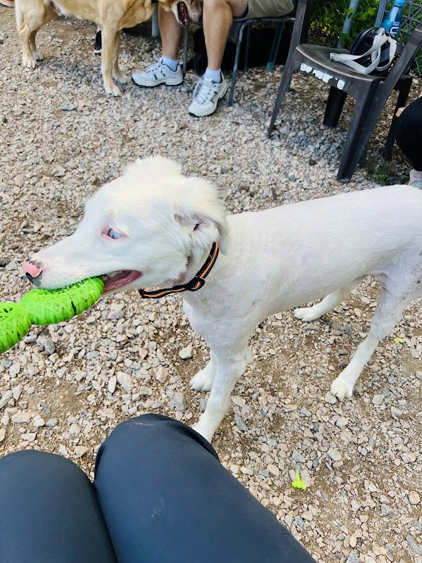 Buffaloe Road Dog Park