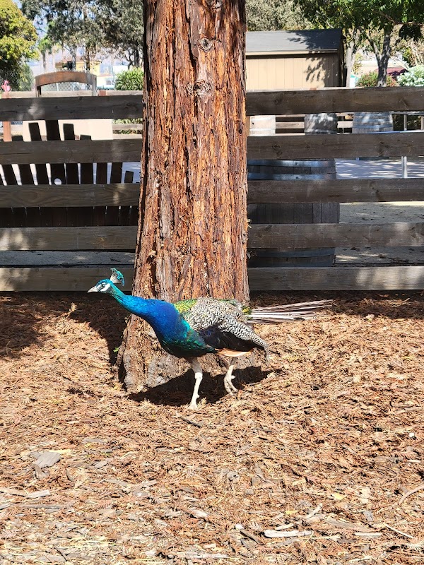 Emma Prusch Farm Park