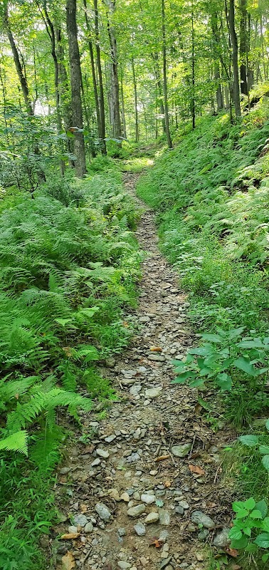 Gunpowder Falls Big Loop Trail