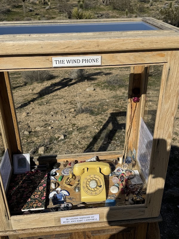 Campbell Wind Phone