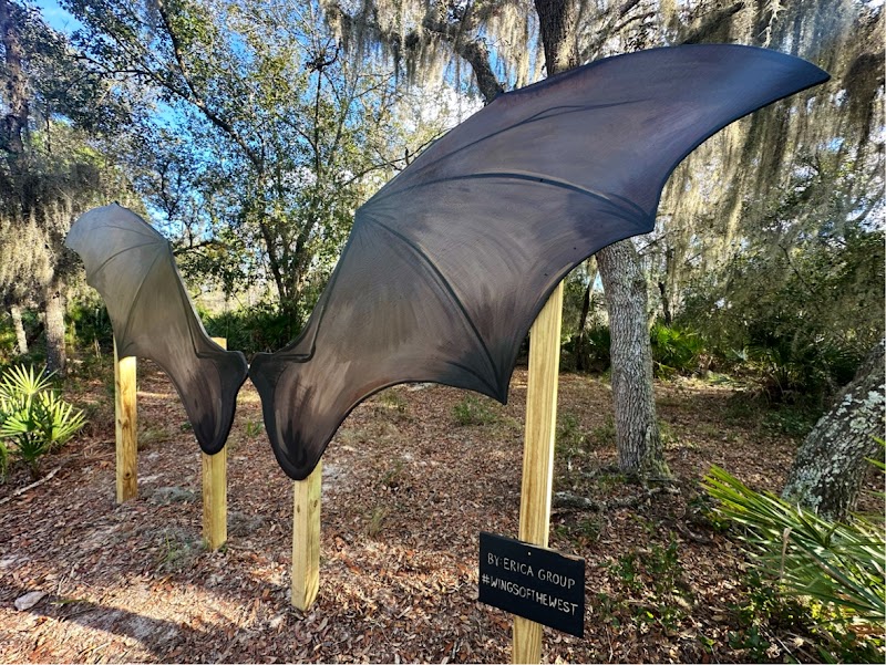 Wings of the West Trail: D Ranch Preserve