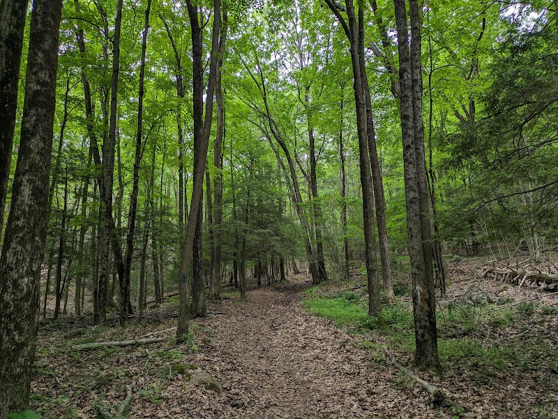 Ragged Mountain Memorial Preserve