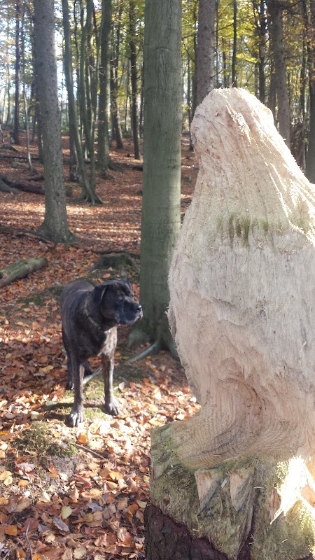 Eagle Tree Sculpture