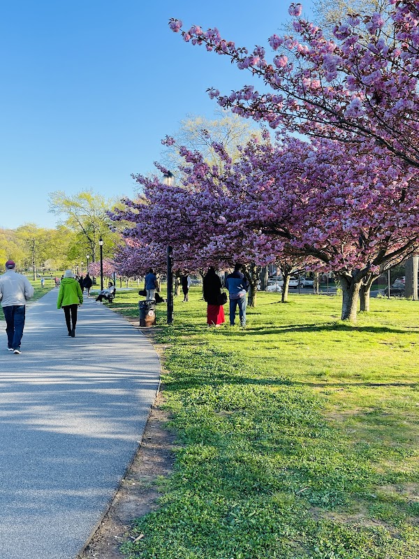 Cunningham Park