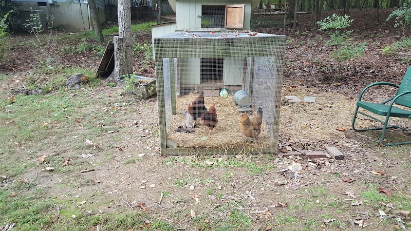 North Forest Hills Park picnic shelter
