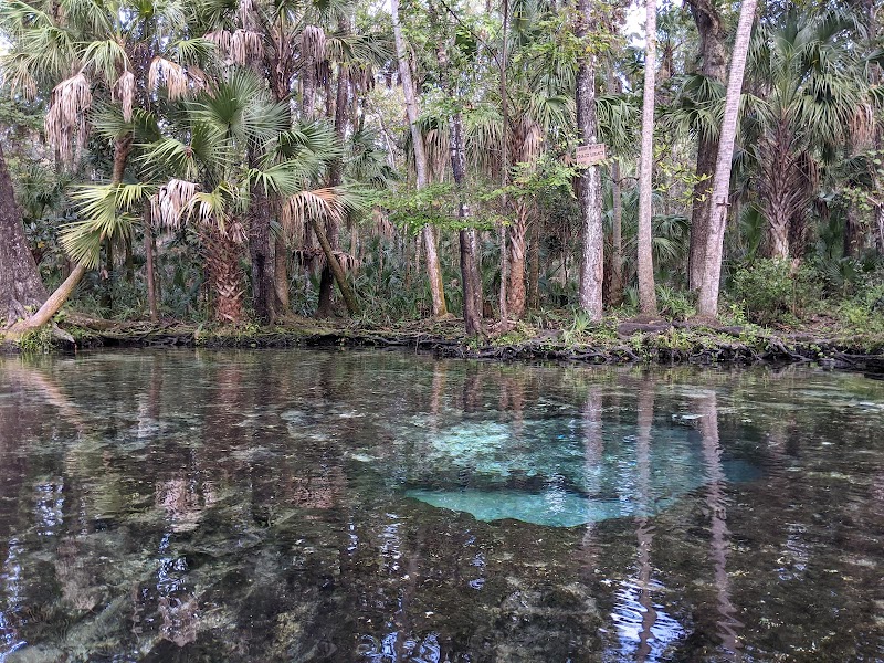 7 Sisters Springs