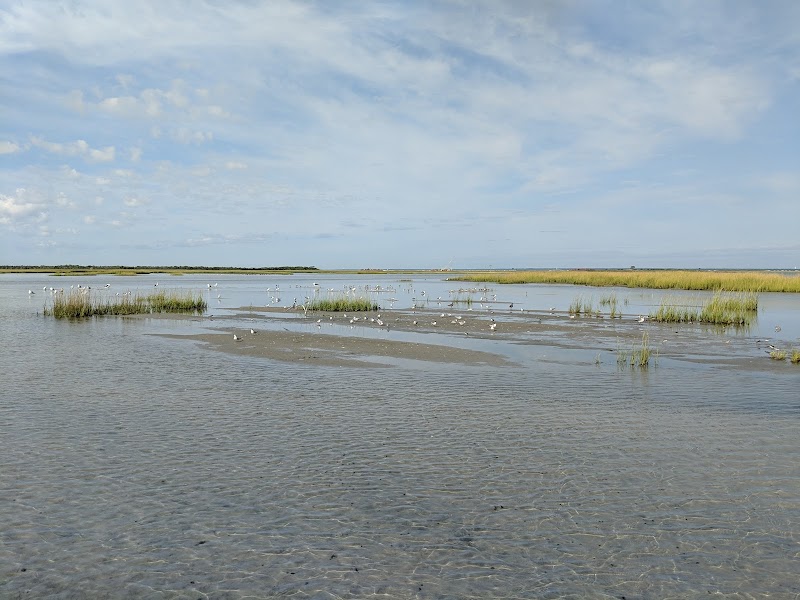 Sedge Island Wildlife Management Area