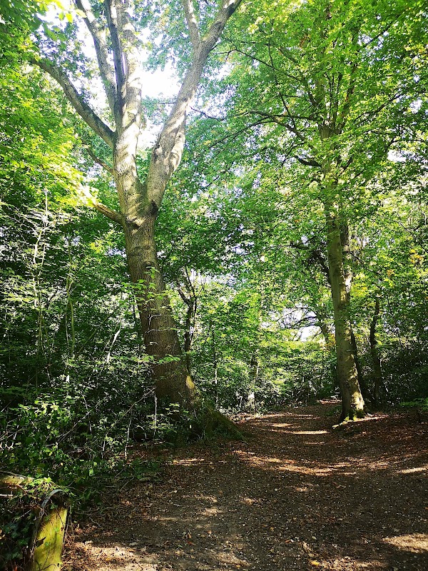 Westwood Nature Reserve