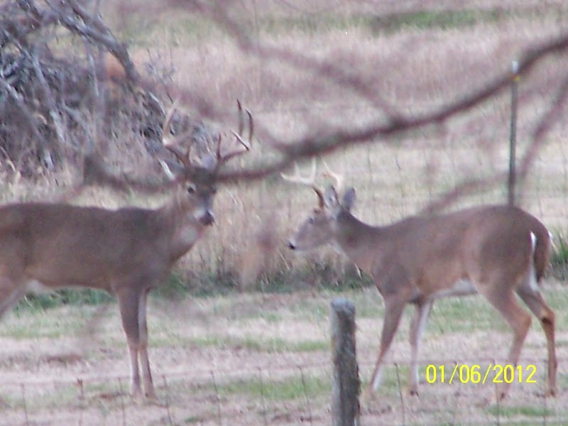 Drummond Ranch - Couchville