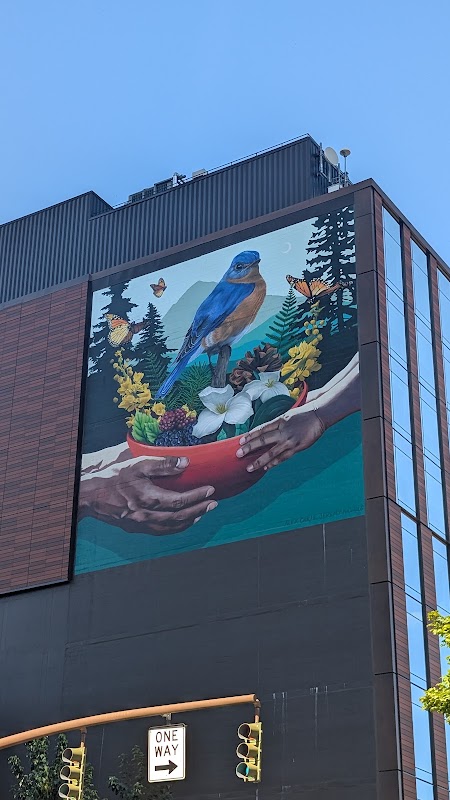 Bird Mural