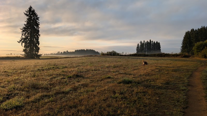 Groth Nature Preserve