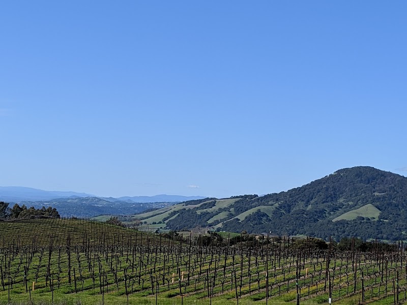 North Slope Park, Sonoma Mt.