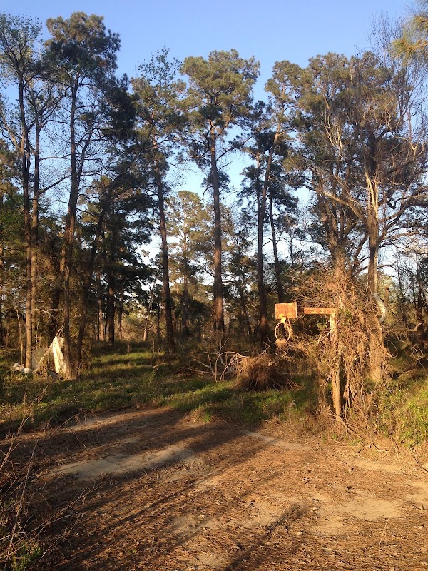 Future Edgewater Park