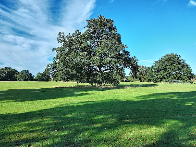 Hillingdon Court Park