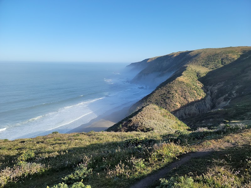 Tomales Point