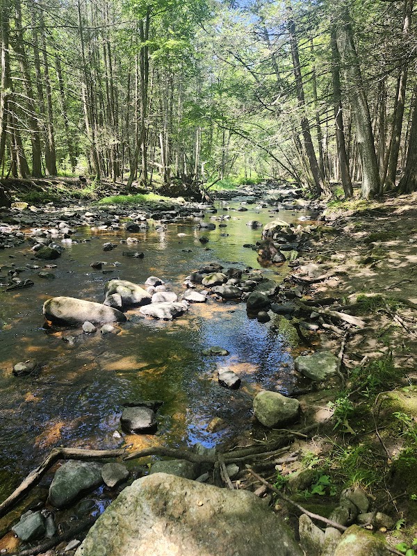 Mashamoquet Brook State Park
