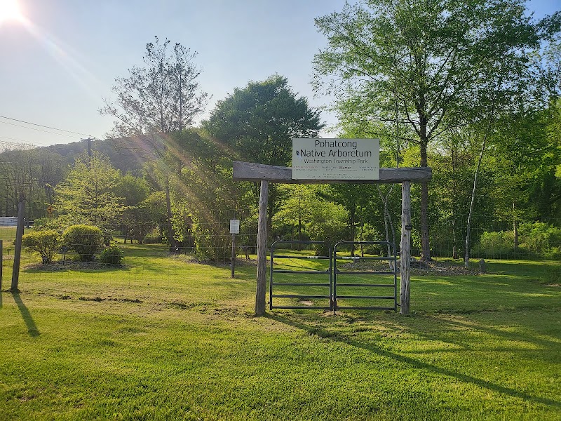 Pohatcong Native Arboretum