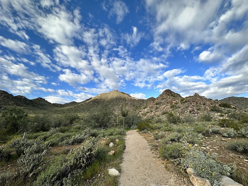 White Tank Mountain Regional Park