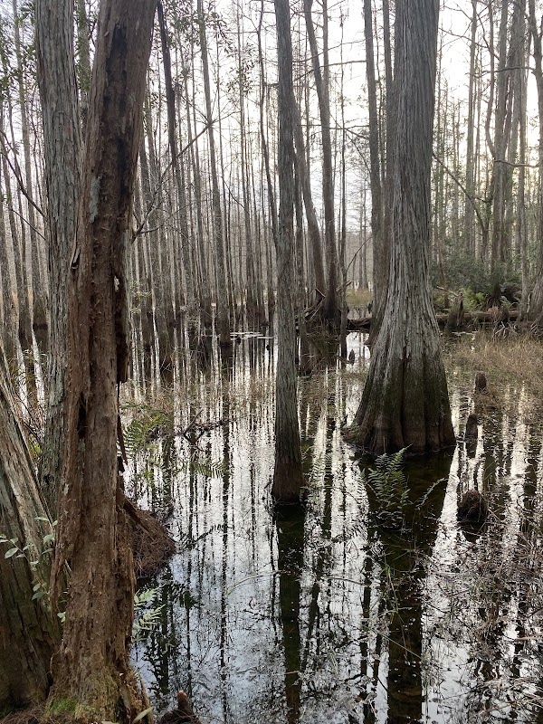 Starkey Wilderness Preserve