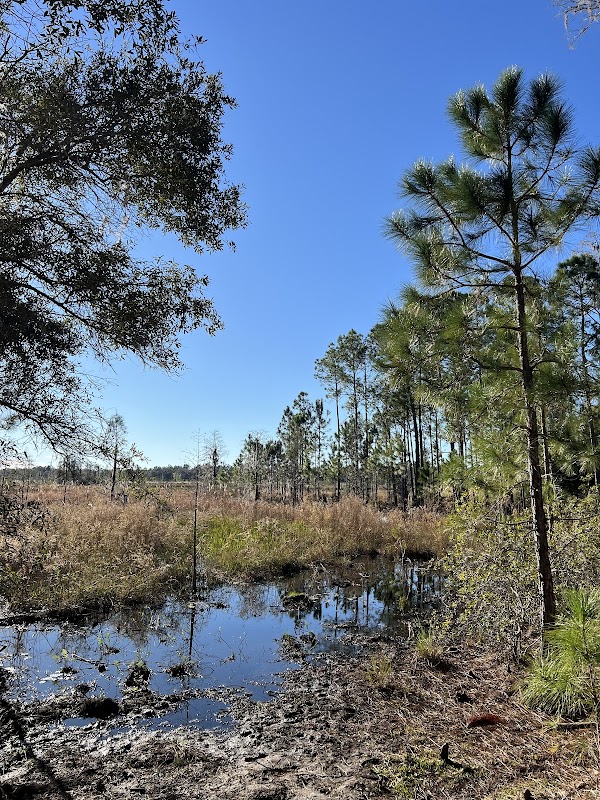 Starkey Wilderness Preserve