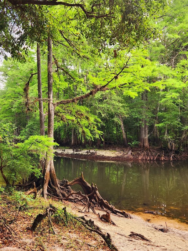 Withlacoochee State Trail - Trilby Trailhead